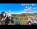 ゆかり達の楽しい遭難生活 part24