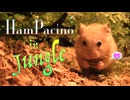 Ham Pacino in the jungle - ハムパチーノ in ジャングル