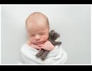 Pure Life Photography