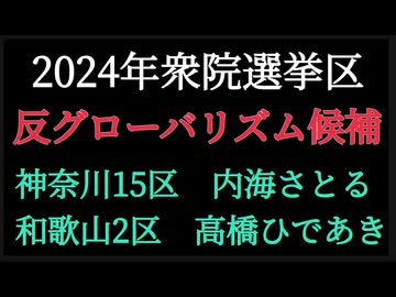2024年衆院選挙　反グローバリズム候補者　内海さとる　高橋ひであき