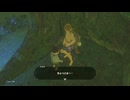 【実況】『ゼルダの伝説 ブレス オブ ザ ワイルド』 Part39