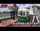 【TPF2】姫鉄奮闘記-月夜見王国編-第12回:軌道線開業＆最急行電車！！/transportfever2