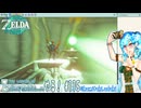 【実況】ゼルダの伝説TotKやる！【115】