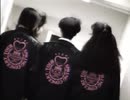 【LD】CoCo 1991コンサート 春はCoCoから【中野サンプラザ】