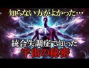 【衝撃・神秘体験】俺が統合失調症を発症した時の話をする【宇宙と意識の秘密・宇宙の外側と構造・宇宙の正体】