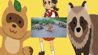 たぬき　大乱闘