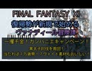 【FF11】一攫千金！カンパニエキャンペーン！黒太子討伐を周回！当たれば１万貨幣！？ヴォイド素材もおいしい！