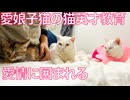 コムギ子猫、珍妙な愛情に囲まれる