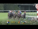 2024 富士ステークス (GⅡ)　ジュンブロッサム