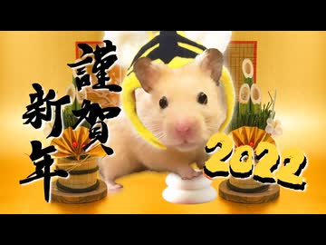 New year greeting from Ham Pacino 2022 - ハムパチーノの新年のご挨拶 2022
