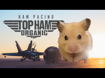 Top Ham : Organic（HamPacino） - トップハム・オーガニック（ハムパチーノ）