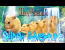 【ASMR】HamPacino's Splash Adventure - ハムパチーノのスプラッシュ・アドベンチャー