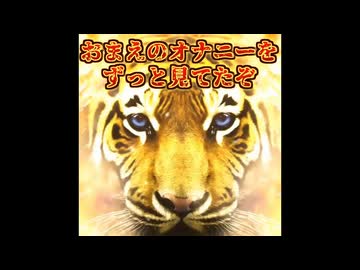 お前のオナニーをずっと見てたぞ