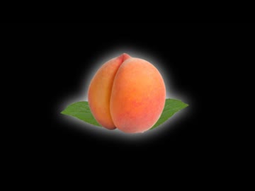 『Peach Peach HamPacino』Trailer1