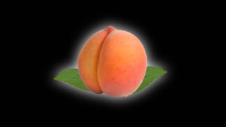 『Peach Peach HamPacino』Trailer1