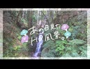 ニコ動で見る日本の風景“愛知県 豊根村 四五六滝”
