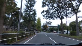 菊花賞当日朝の東京競馬場にドライブで来ました。