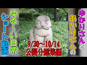 【VOICEROID劇場】ゆかりさんの日常　ショート動画9/30～10/14公開分総集編