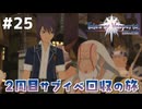 #25【テイルズオブヴェスペリア】２周目の旅！サブクエスト回収する！！【TALES OF VESPERIA】【実況】
