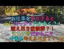 お仕事をやりきると心にぽっかり穴があく？！燃え尽き症候群？！忙しい時だからこそ今後を考えるべき？！