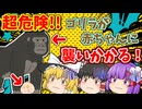 【ゆっくり茶番】ピンチ！魔理沙の赤ちゃんが脱走したゴリラに襲いかかる！？