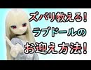 【ラブドールと解説】ズバリ教える！ラブドールのお迎え方法！【ゆっくり解説・VOICEVOX解説】