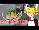 ξﾟ⊿ﾟ)ξ雑に料理を楽しむようです#50【秋鮭の焼きびたし】