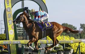 2024 菊花賞 アーバンシック騎乗のC.ルメール騎手ジョッキーカメラ映像