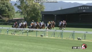 エリカエクスプレス　2歳新馬牝