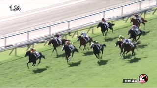 エリカエクスプレス　京都・2歳新馬戦　2024年10月20日