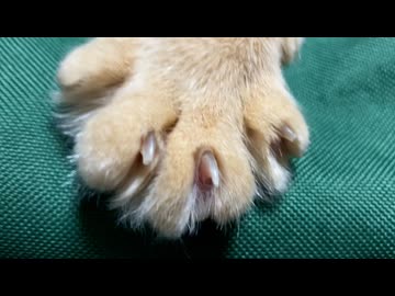 しっかり近寄ってみた