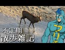 不定期散歩雑記_08 - 南神立橋と鹿
