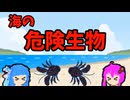 【VOICEROID解説】ゆかり先輩と見る危険生物【海編⑭】