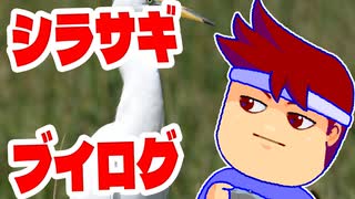 シラサギ編。【バーチャルいいゲーマー佳作選】