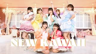 NEW KAWAII / FRUITS ZIPPER 【踊ってみた】
