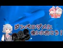 能登にジンベエザメを見に行こう！【日帰り旅行祭】