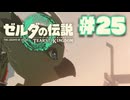 【ぽつぽつ実況 #25】天鳥船【ティアーズオブザキングダム】
