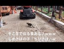 (選挙に対する戯言を語りながらのチルタイムｗ）変態忍者の、有害鳥獣駆除従事活動記・その３０６