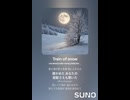 Train of snow
