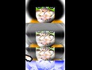 Dance「我行精進 92」01493-S