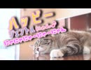 【重音テトSV】ハッピージェントルにゃん♪にゃにゃにゃーにゃーにゃん【オリジナル曲/せくしゐ】