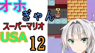 仲良し対魔忍と女騎士のオホギャンマリオUSA【クロワちゃん実況プレイ】12