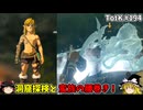 【ゆっくり実況】初めてのティアーズオブザキングダム！ part194 【ティアーズオブザキングダム】