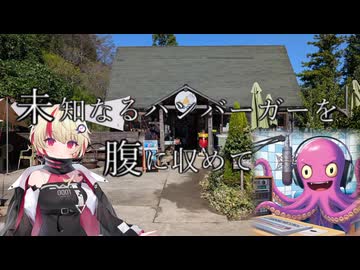 未知なるハンバーガーを腹に納めて　part３