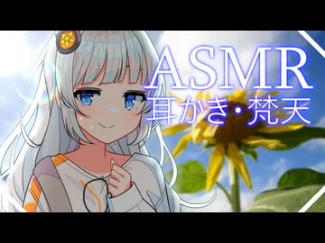 幼馴染と縁側耳かき・紲星あかり【ASMR】