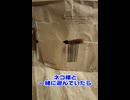 まさかの展開！！うちのネコ様の貴重なシーンをどうぞ！