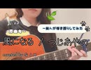 【猫の恩返し】【アコギ弾き語りしてみた】風になる/つじあやの