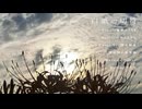 白紙の切符 feat.重音テトsv