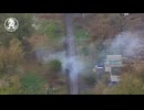 ホモと見るブラッドレーとチャレンジャー