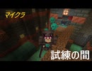 【Minecraft】エイラは試練の間の地図を手に入れた。どうしますか？→使います　使いません(´・ω・｀)»黒刀エイラ«【自鯖ん】